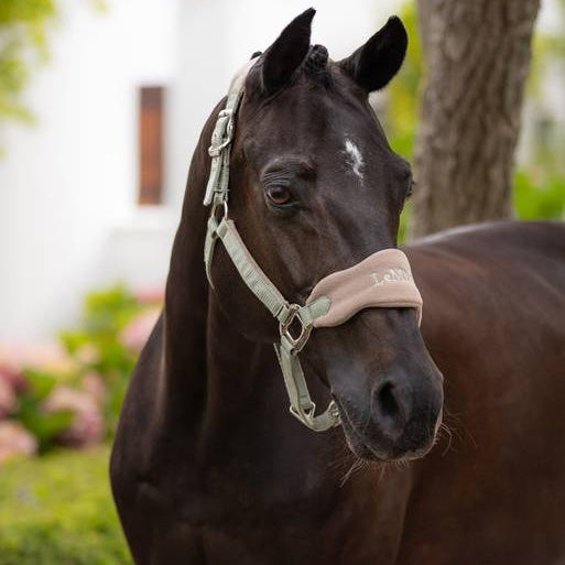 LeMieux Vogue Halter and Lead Rope Set for Pony- Juniper