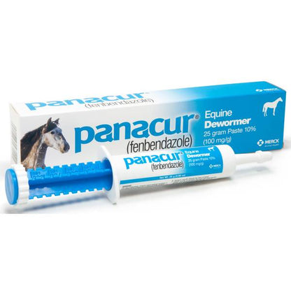MERIAL Panacur Equine Paste 10% Wormer 25 Gram - Riders Choice Supply Co