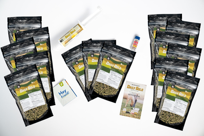 Daily Gold® - Horse Gut Supplements - Riders Choice Supply Co