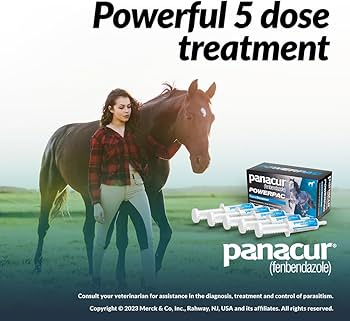 DURVET Panacur Powerpac Fenbendazole Paste Wormer, 57g 5-Pack - Riders Choice Supply Co