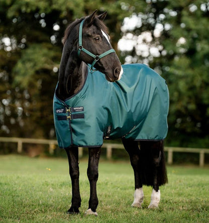 Horseware Amigo Ripstop 900D Plus Pony 100g 54 Dyn Green - Riders Choice Supply Co