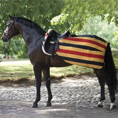 Horseware RAMBO Newmarket Competition Sheet Witney Gold Small - Riders Choice Supply Co