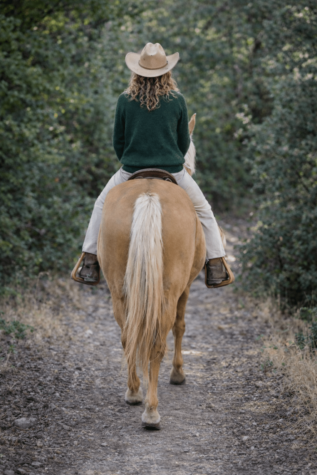 Bridle Up Rider Sweater (Green)