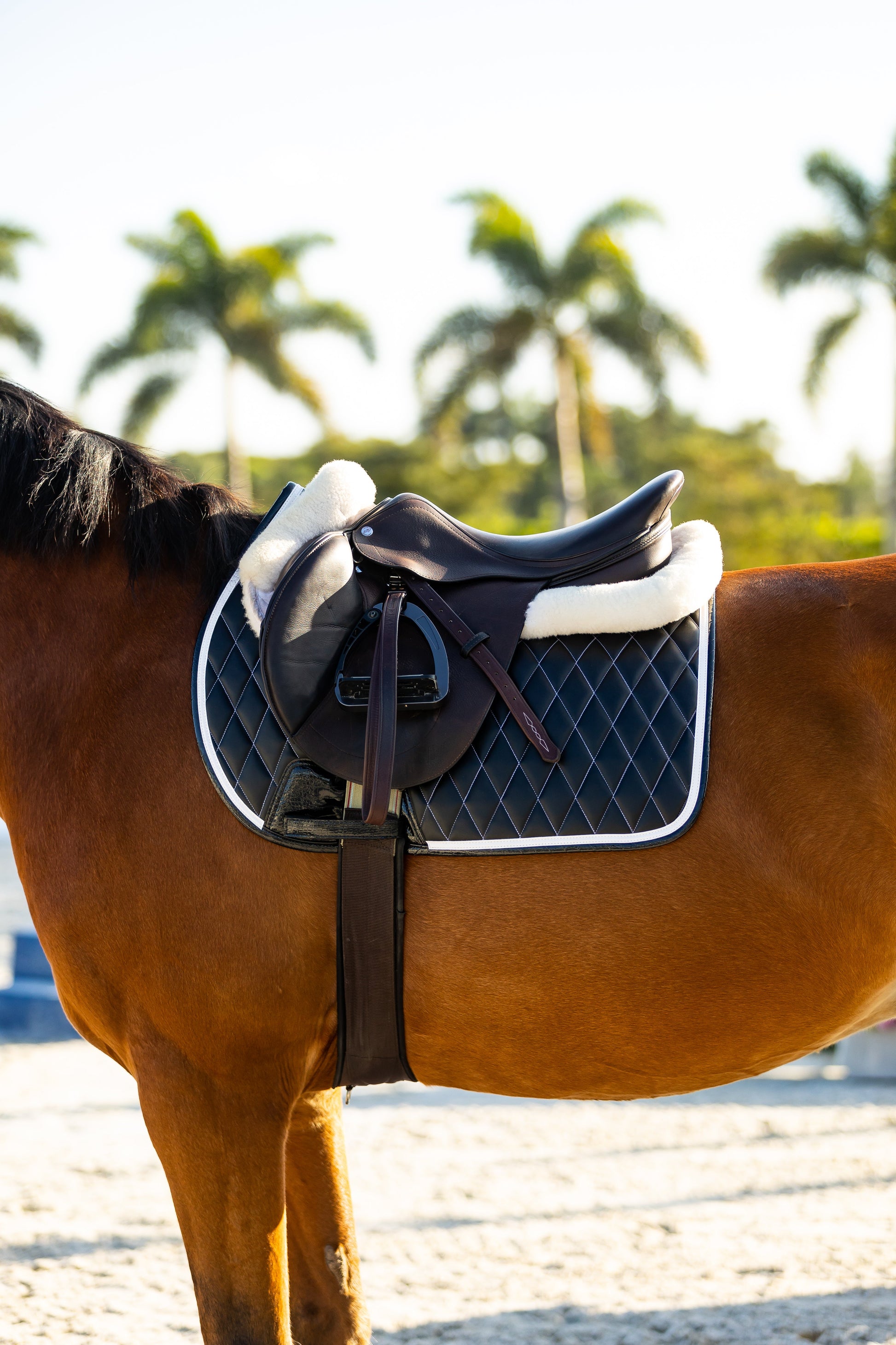 Jump Saddle Pad | Black - Riders Choice Supply Co