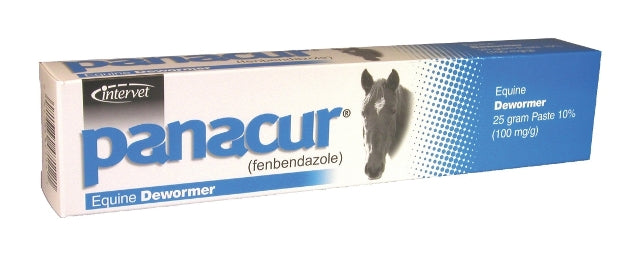 MERIAL Panacur Equine Paste 10% Wormer 25 Gram - Riders Choice Supply Co