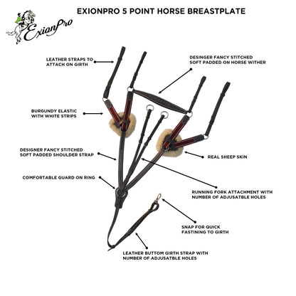 ExionPro 5 Point Breastplate - Burgundy Elastic with White Strips