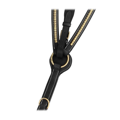 ExionPro SS / Brass Clincher Breastplate