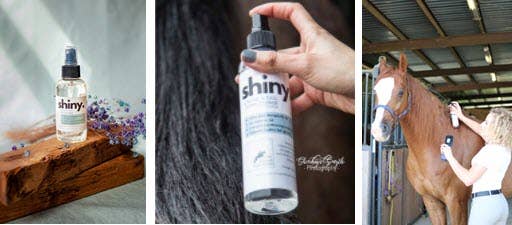 Shiny. A Mane & Tail Conditioner (4 oz., 8 oz., 28 oz.) - Riders Choice Supply Co