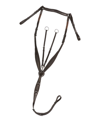 ExionPro Wings Breastplate