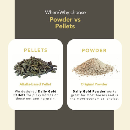 Daily Gold® - Horse Gut Supplements - Riders Choice Supply Co