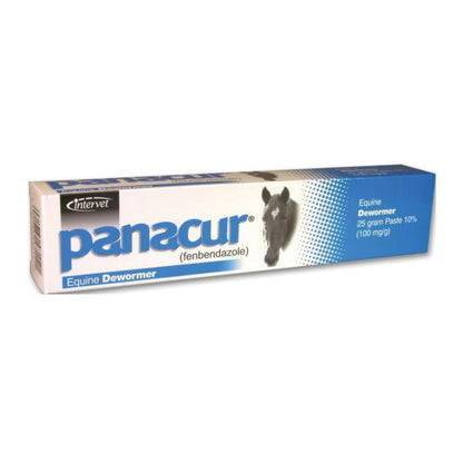 MERIAL Panacur Equine Paste 10% Wormer 25 Gram - Riders Choice Supply Co