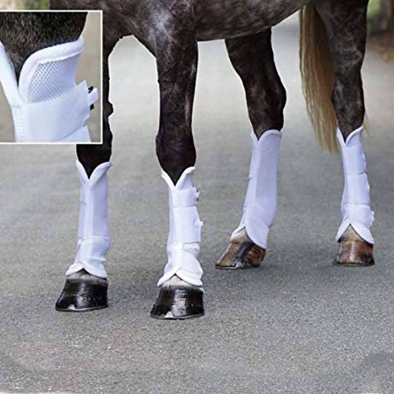 SHIRES ARMA Airflow Fly BootsTurnout Socks Full Size