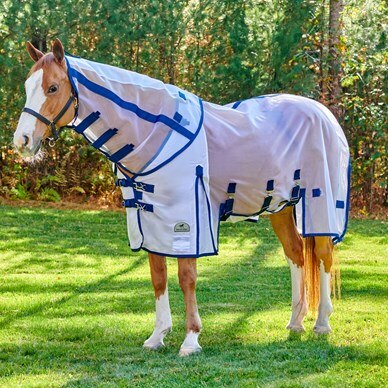 Shires Sweet-Itch Combo Fly Sheet 81" - Riders Choice Supply Co