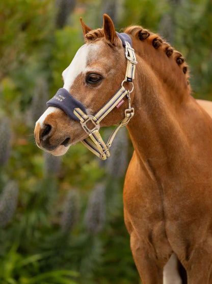 LeMieux Vogue Mini Headcollar and Lead Rope for Mini Horse - Cranberry