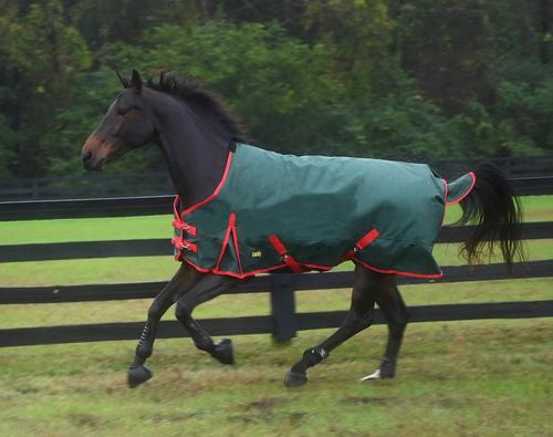 Gatsby Heavyweight Waterproof Turnout Blanket 1200D Size 78 - Riders Choice Supply Co