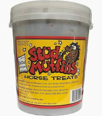Stud Muffins Horse Treat Tub - Riders Choice Supply Co