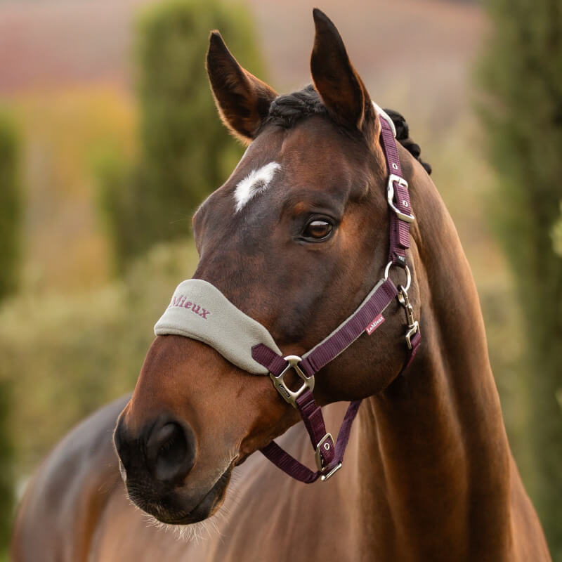 LeMieux Vogue Halter and Lead Rope Set- Damson - Riders Choice Supply Co