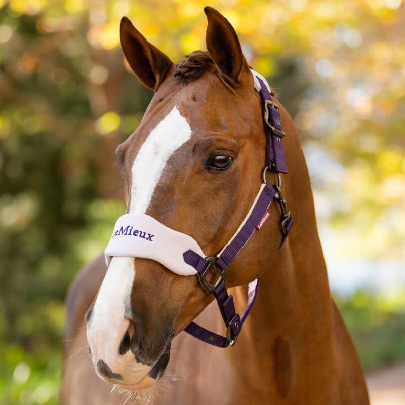 LeMieux Vogue Halter and Lead Rope Set for Pony- Juniper