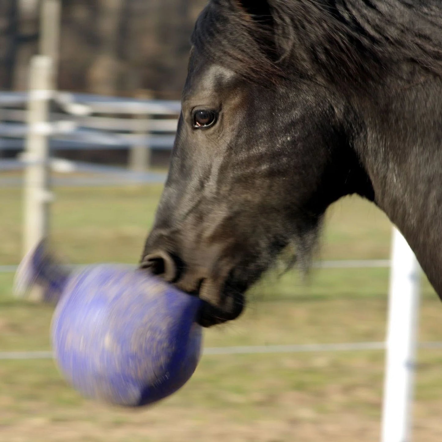 Jolly Ball® 10