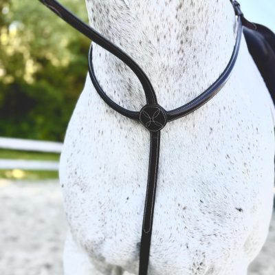 KL Select Red Barn No Donut Martingale