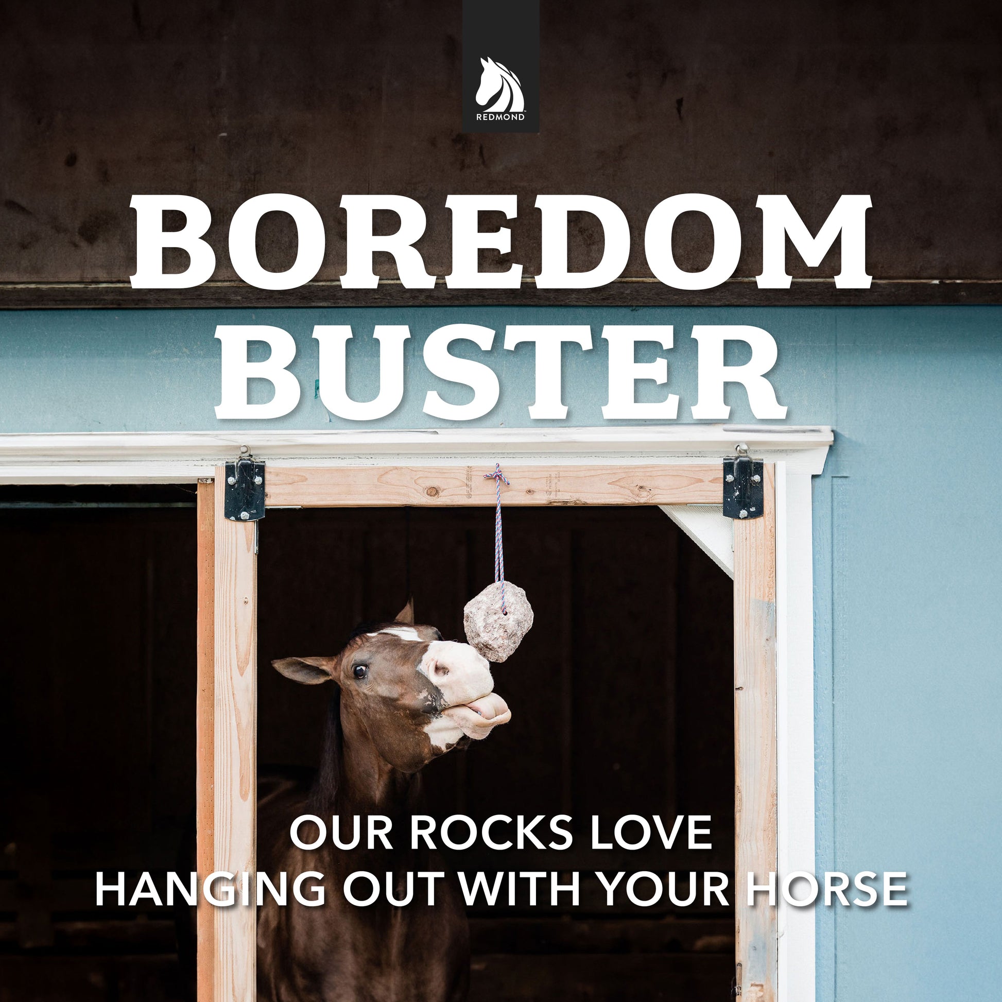 Redmond Rock® - Mined Horse Salt Lick - Riders Choice Supply Co