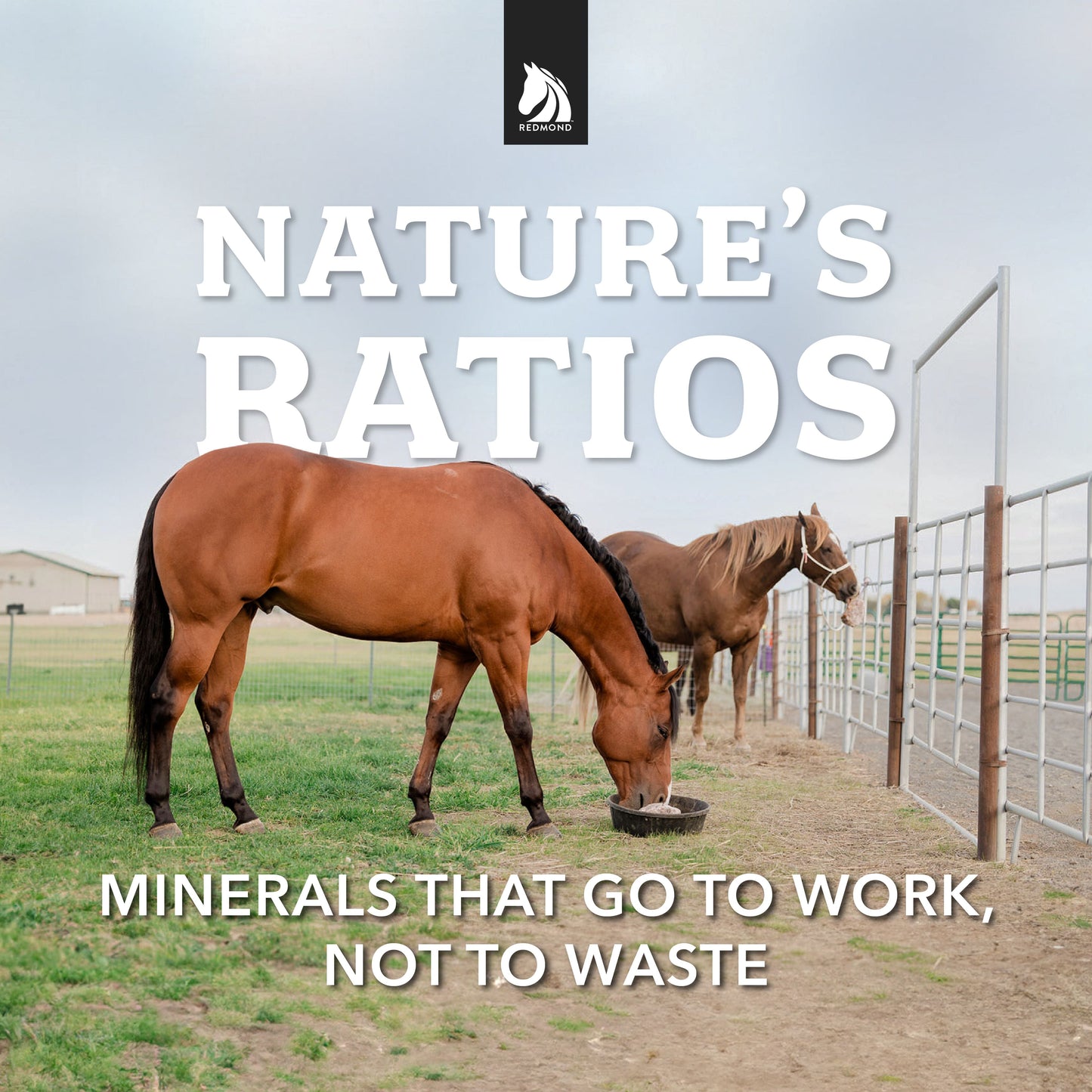 Redmond Rock® - Mined Horse Salt Lick - Riders Choice Supply Co