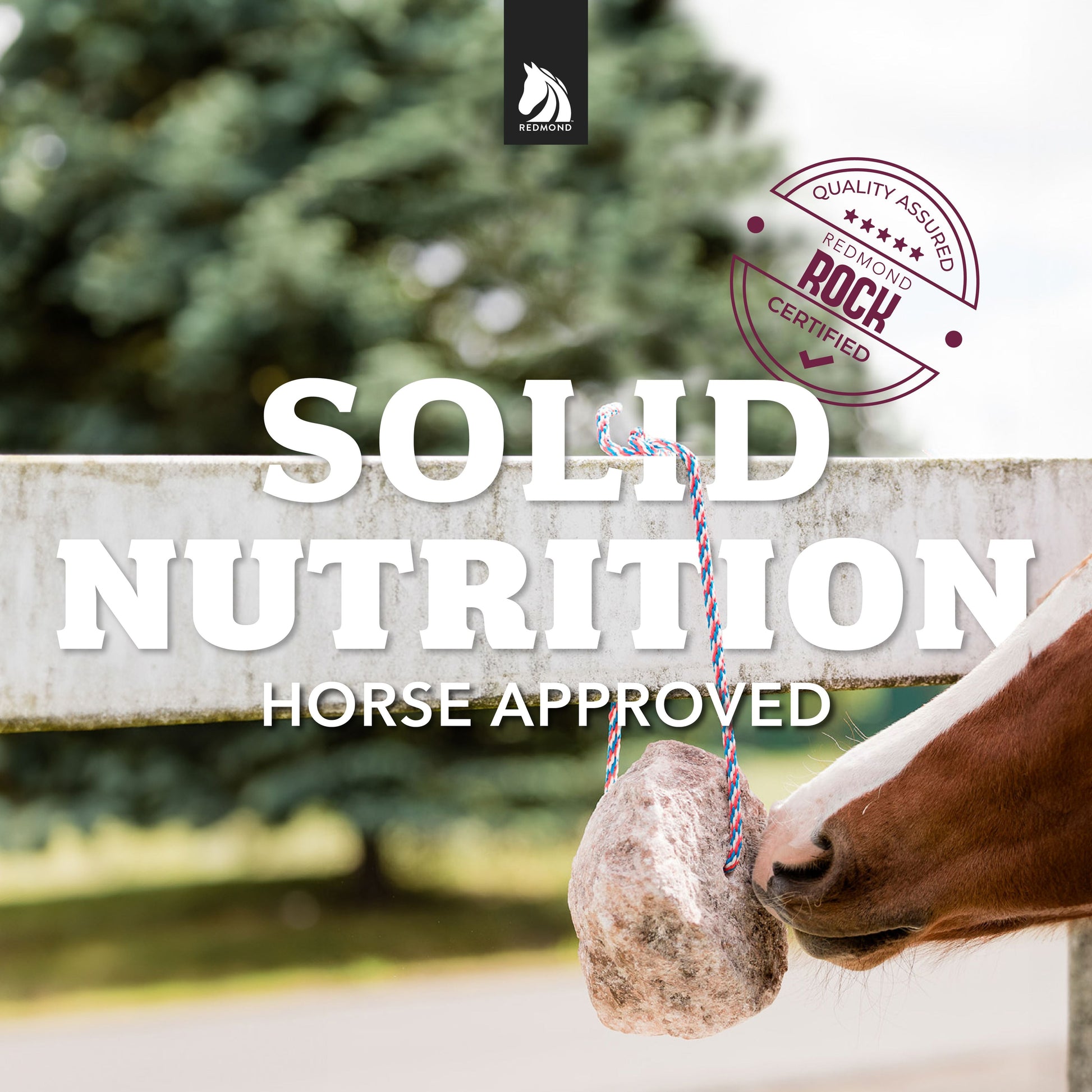 Redmond Rock® - Mined Horse Salt Lick - Riders Choice Supply Co