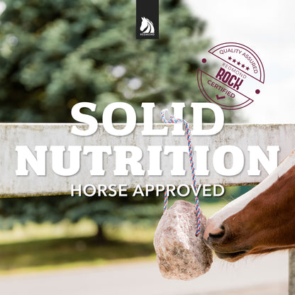Redmond Rock® - Mined Horse Salt Lick - Riders Choice Supply Co