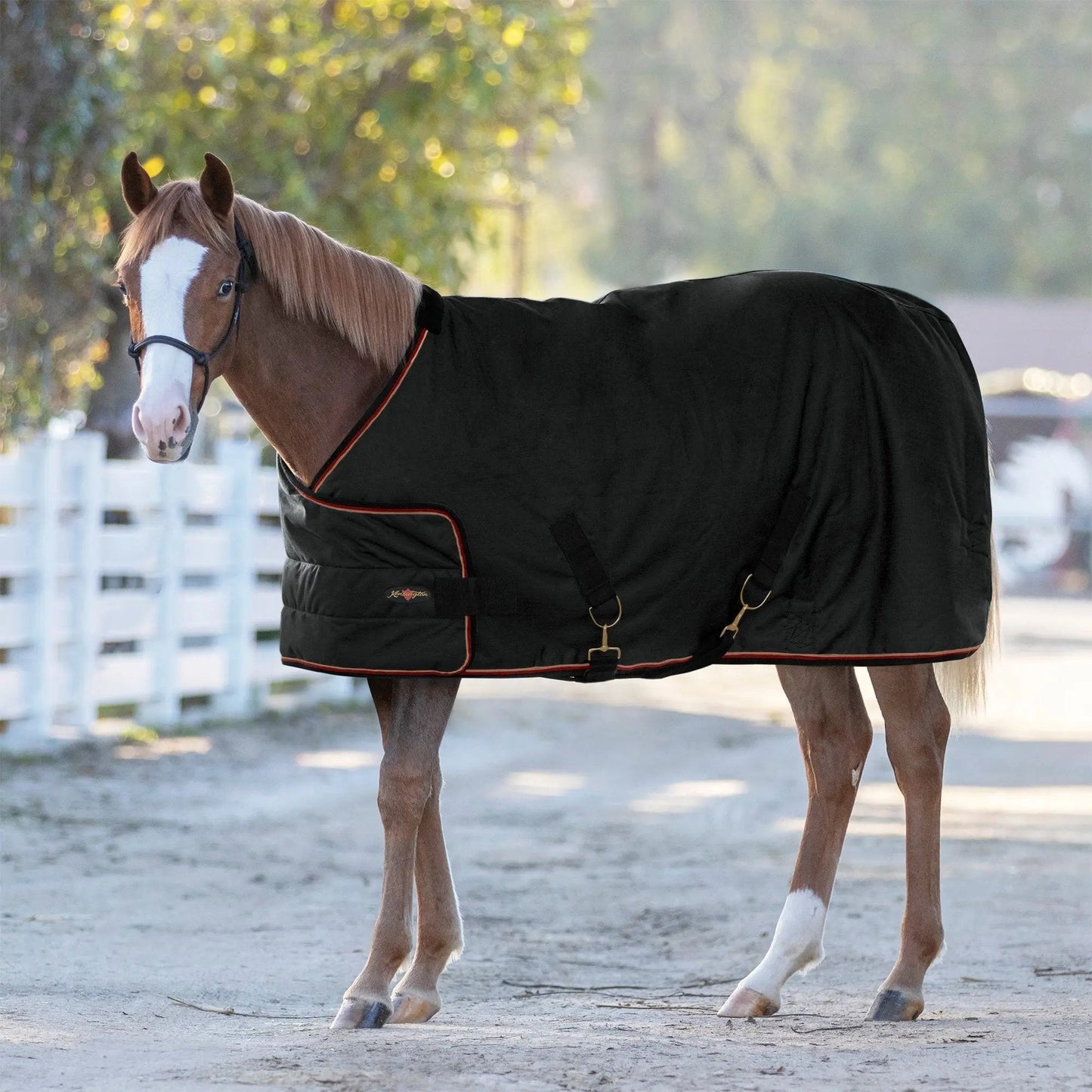 1200D Adjustable Juvenile 180G Medium Weight Winter Turnout Blanket - Waterproof & Breathable - Riders Choice Supply Co