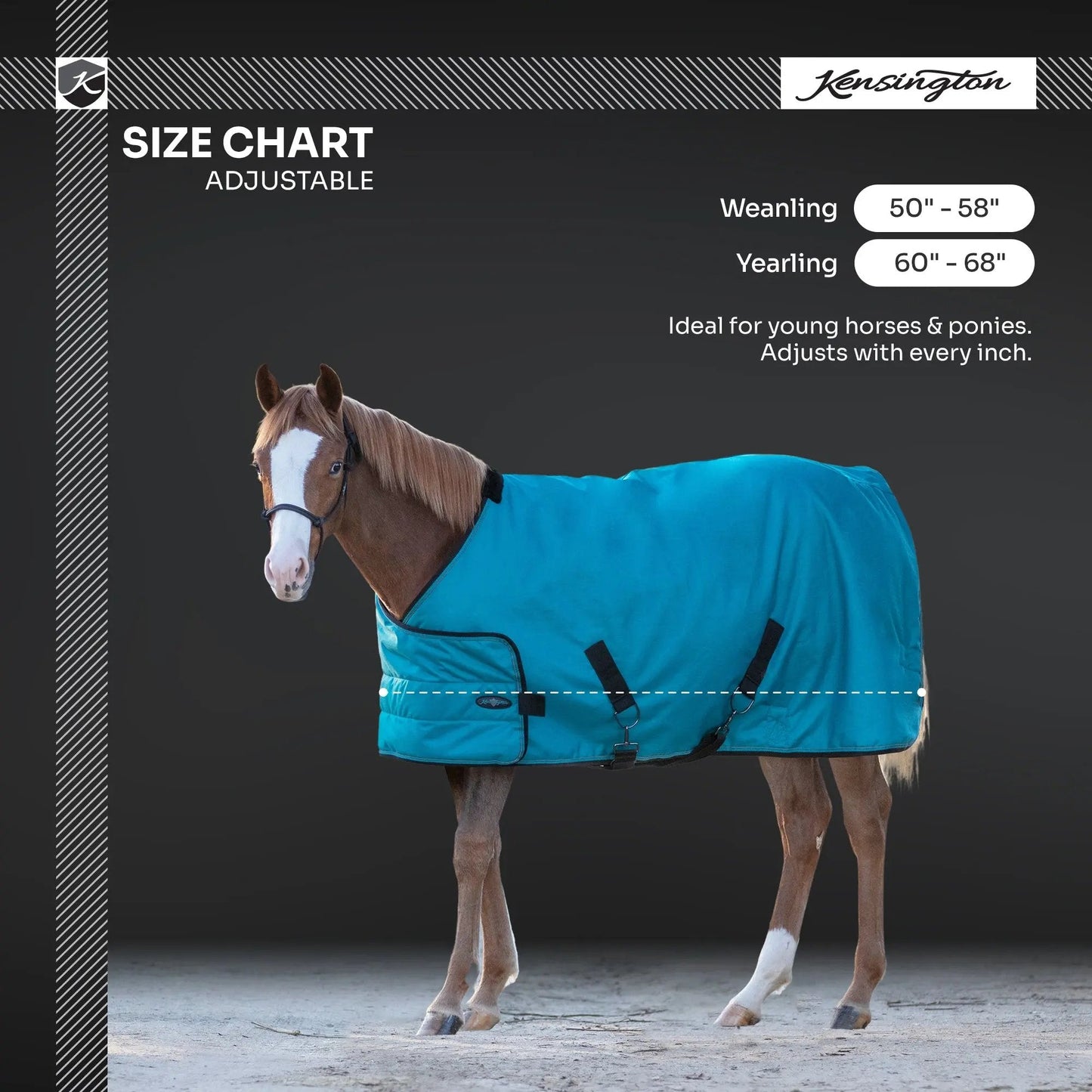 1200D Adjustable Juvenile 180G Medium Weight Winter Turnout Blanket - Waterproof & Breathable - Riders Choice Supply Co