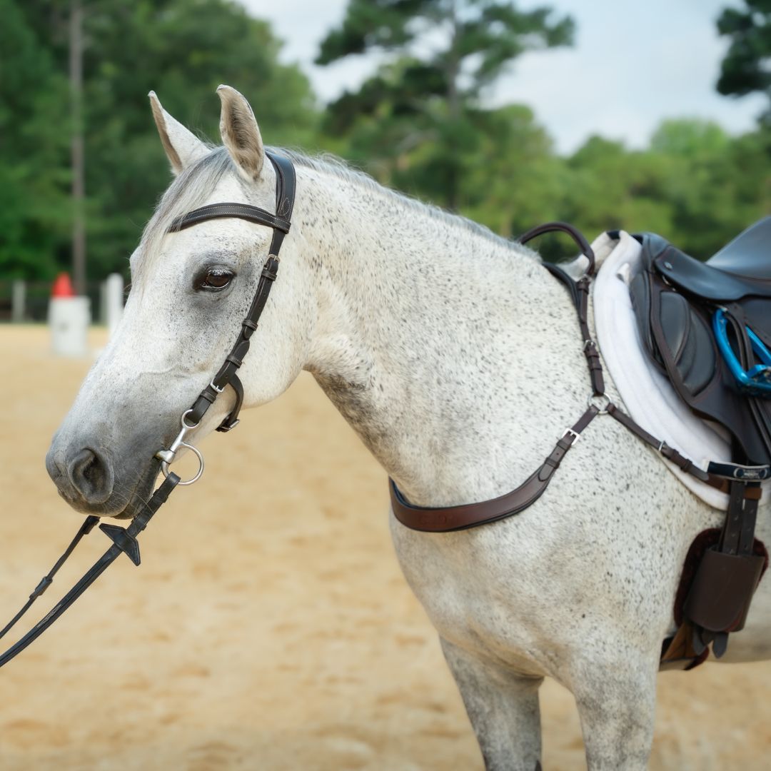 Free Motion Breastplate with Double Neck Strap - Riders Choice Supply Co