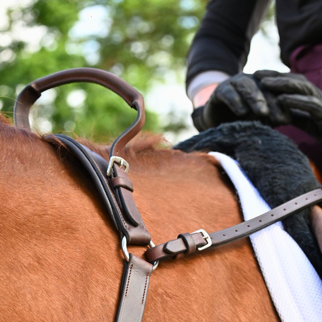 3-Point Breastplate with Double Neck Strap - Riders Choice Supply Co
