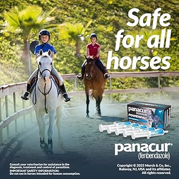 DURVET Panacur Powerpac Fenbendazole Paste Wormer, 57g 5-Pack - Riders Choice Supply Co