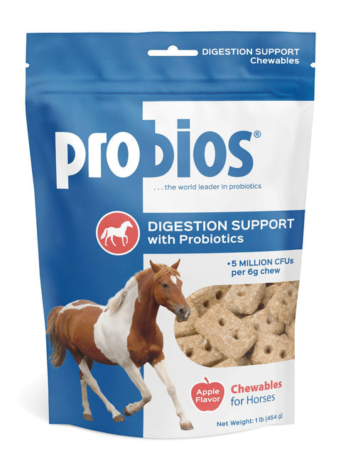Probios Horse Treats for Digestion, 1 lb - Riders Choice Supply Co