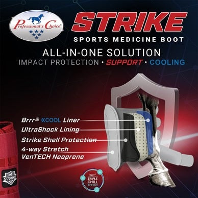 Professional's Choice SMB Strike Boots, Large, Black, 4 Pack - Riders Choice Supply Co