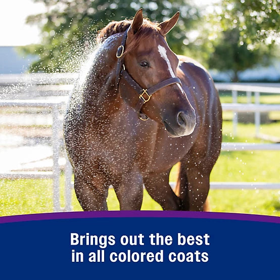 Vetrolin Color-Brightening White 'N Brite Shampoo - 32 fl oz/946 ml