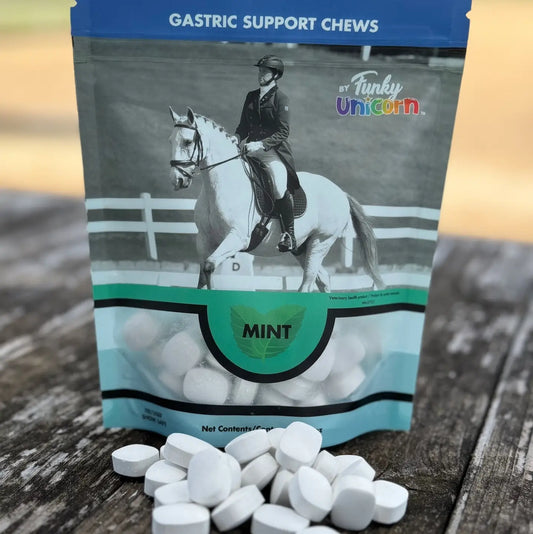 Funky Unicorn Gastric Support Antacid Chews - 7oz Mint