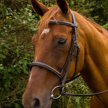 Henri De Rivel Pro Mono Crown Fancy Stitched Padded Bridle