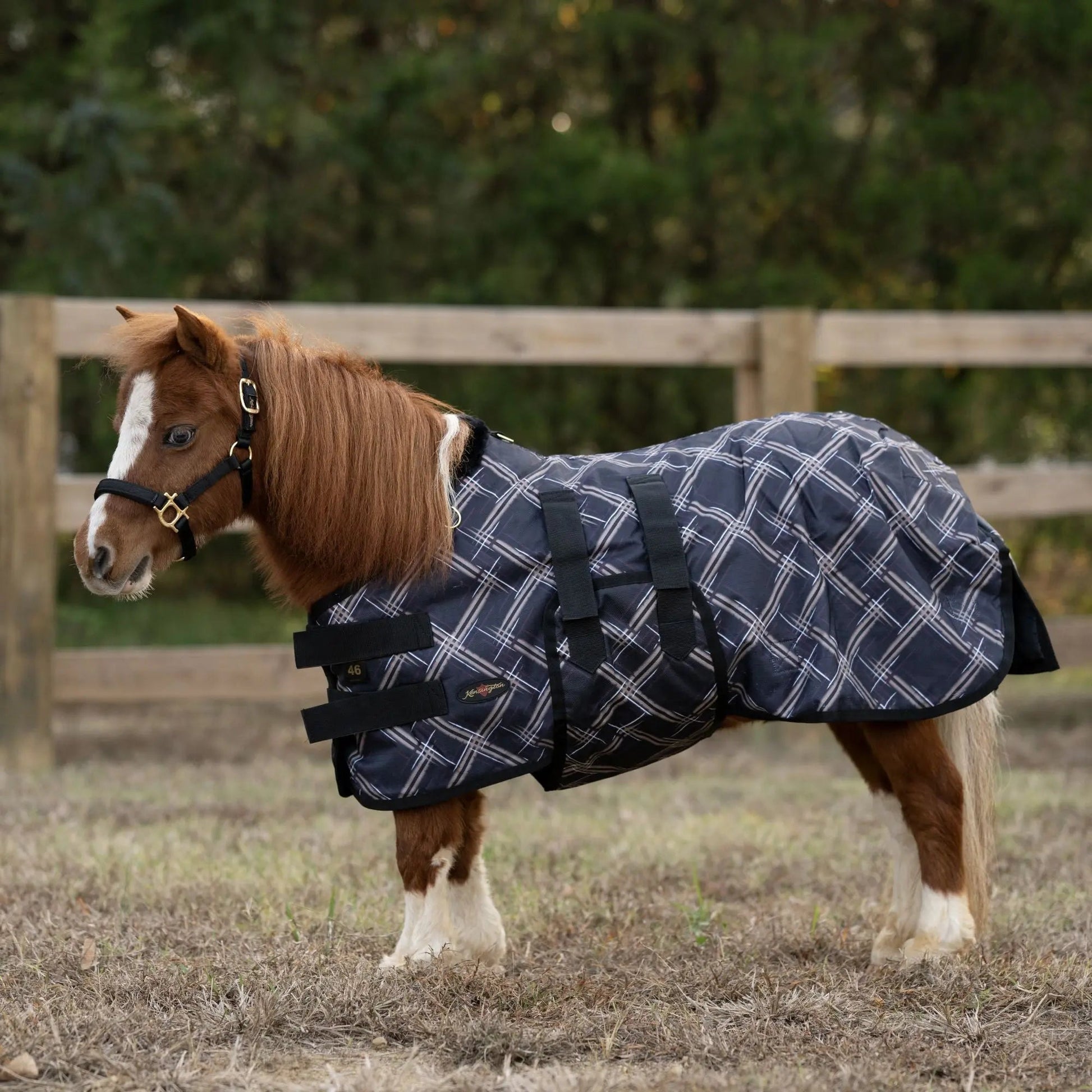 Mini 300G Heavy Weight Horse Winter Turnout Blanket - Waterproof & Breathable - Riders Choice Supply Co