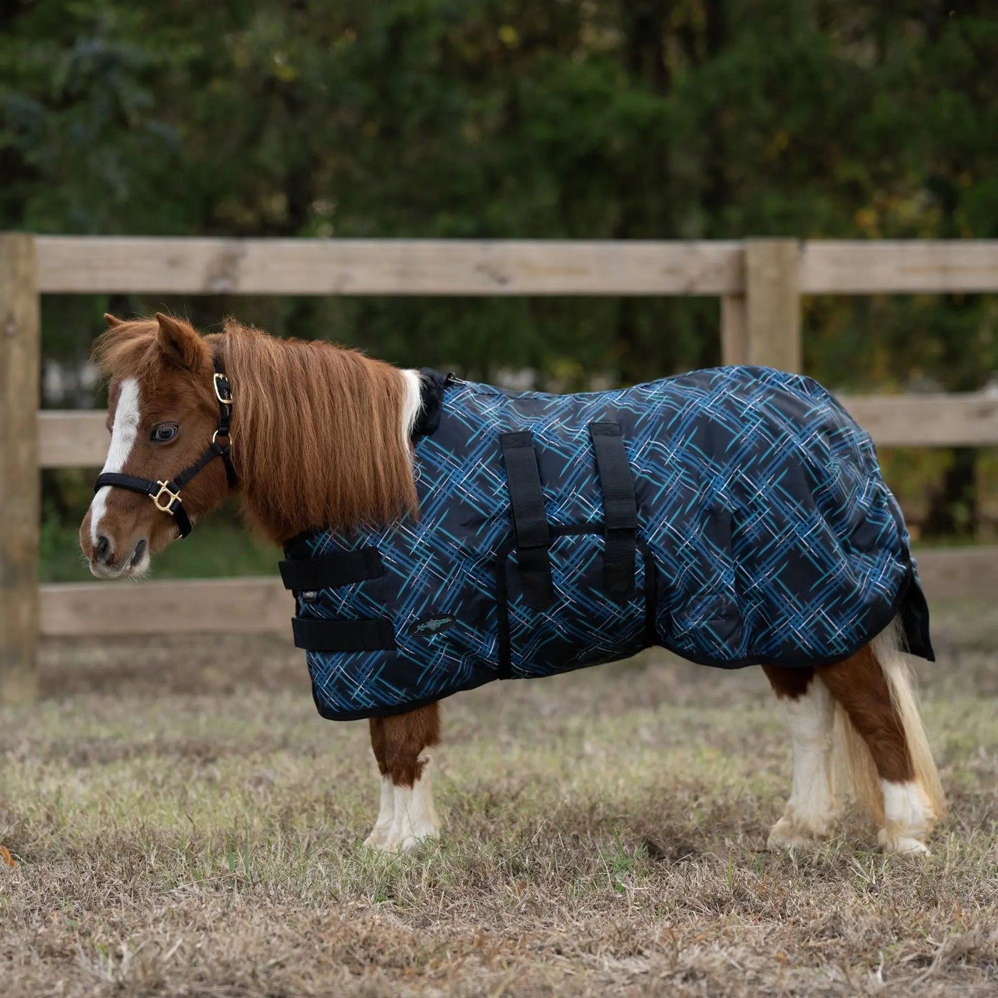 Mini 300G Heavy Weight Horse Winter Turnout Blanket - Waterproof & Breathable - Riders Choice Supply Co