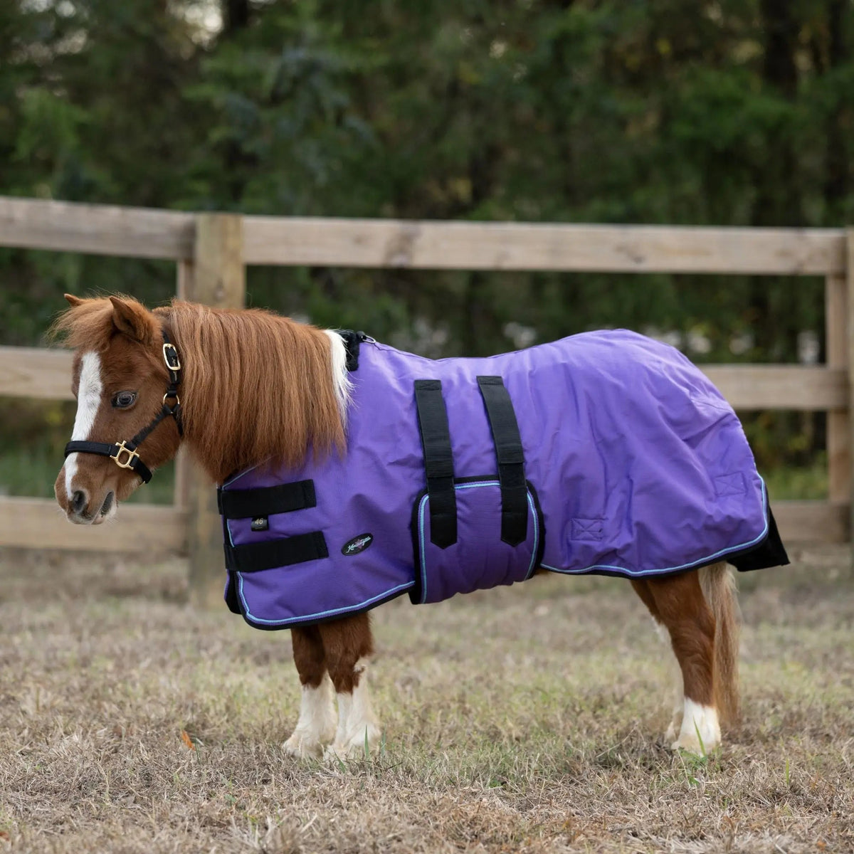 Mini 80G Light Weight Horse Winter Turnout Blanket - Waterproof & Breathable - Riders Choice Supply Co