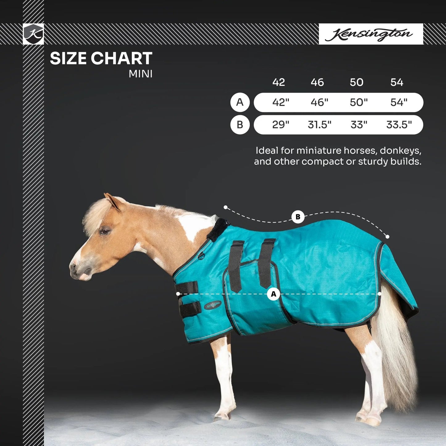Mini 180G Medium Weight Horse Winter Turnout Blanket - Waterproof & Breathable - Riders Choice Supply Co