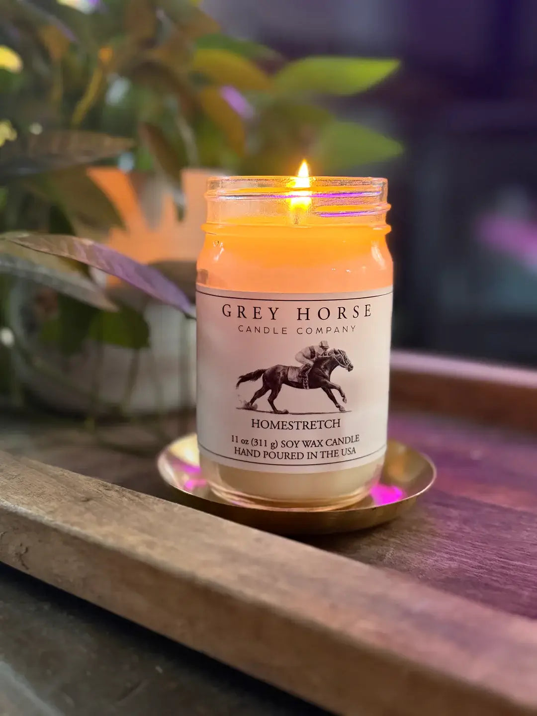 Homestretch - Trot It Forward Collection - Riders Choice Supply Co