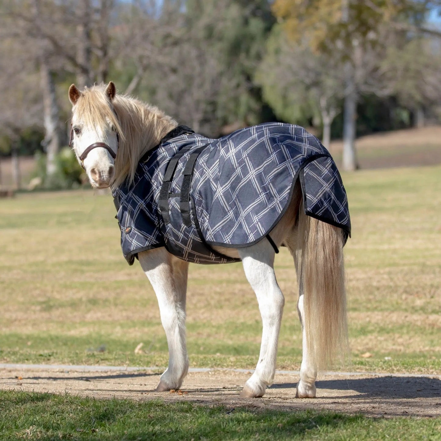 Mini 80G Light Weight Horse Winter Turnout Blanket - Waterproof & Breathable - Riders Choice Supply Co