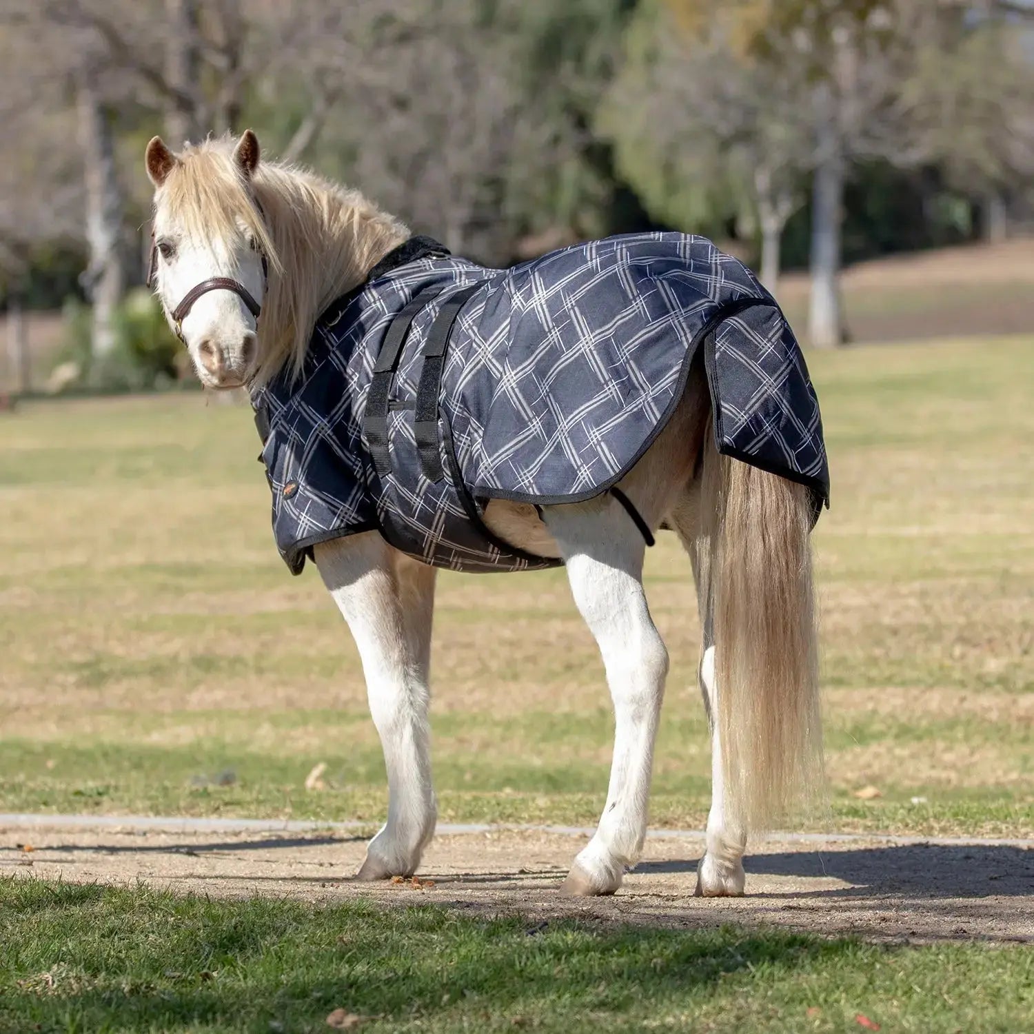 Mini 180G Medium Weight Horse Winter Turnout Blanket - Waterproof & Breathable - Riders Choice Supply Co