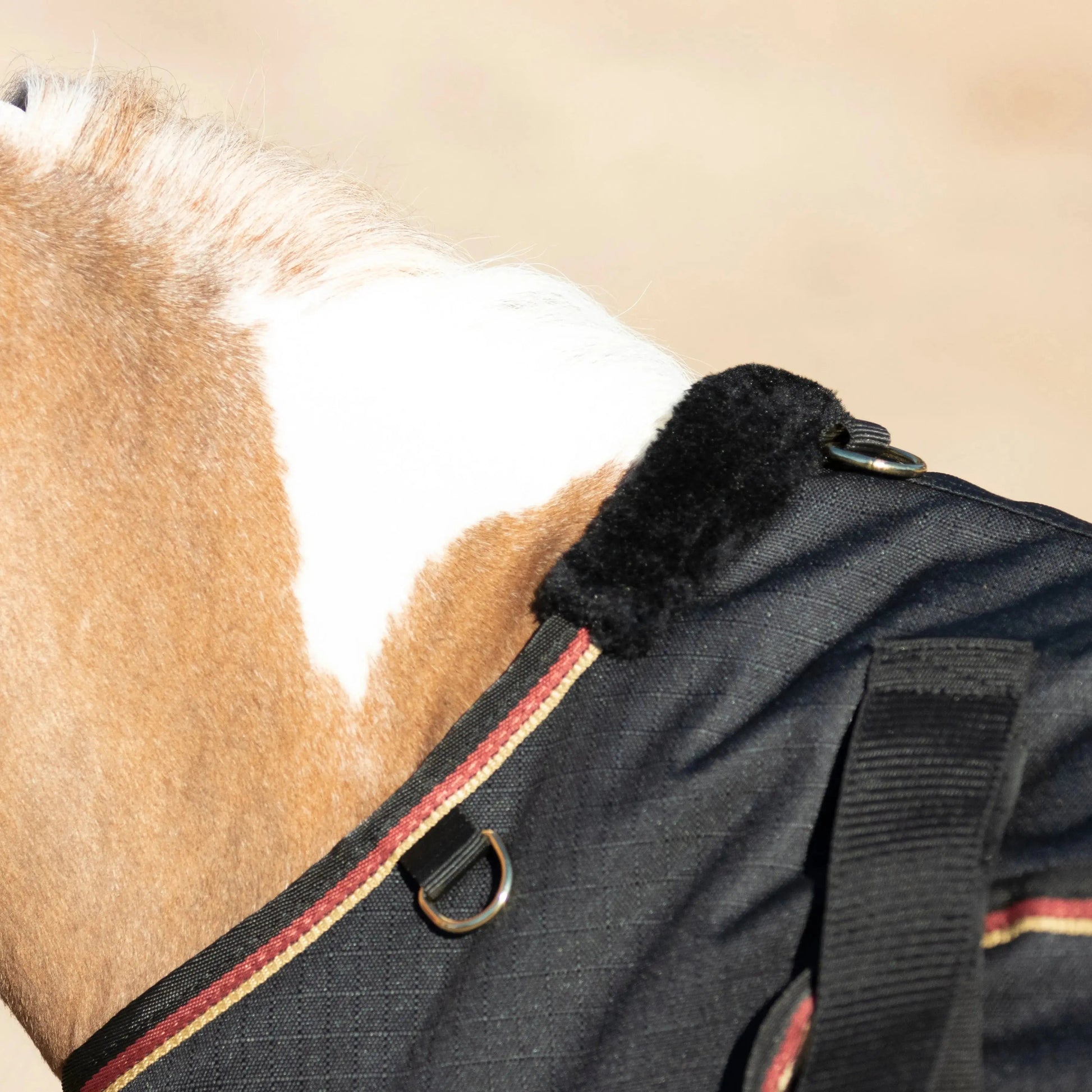Mini 80G Light Weight Horse Winter Turnout Blanket - Waterproof & Breathable - Riders Choice Supply Co
