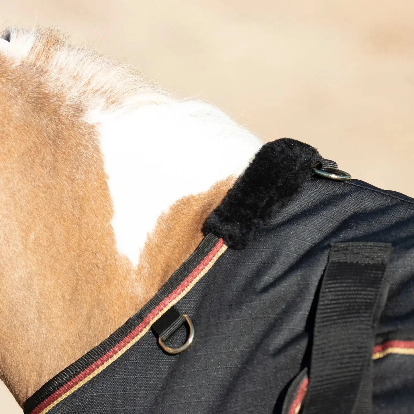 Mini 300G Heavy Weight Horse Winter Turnout Blanket - Waterproof & Breathable - Riders Choice Supply Co