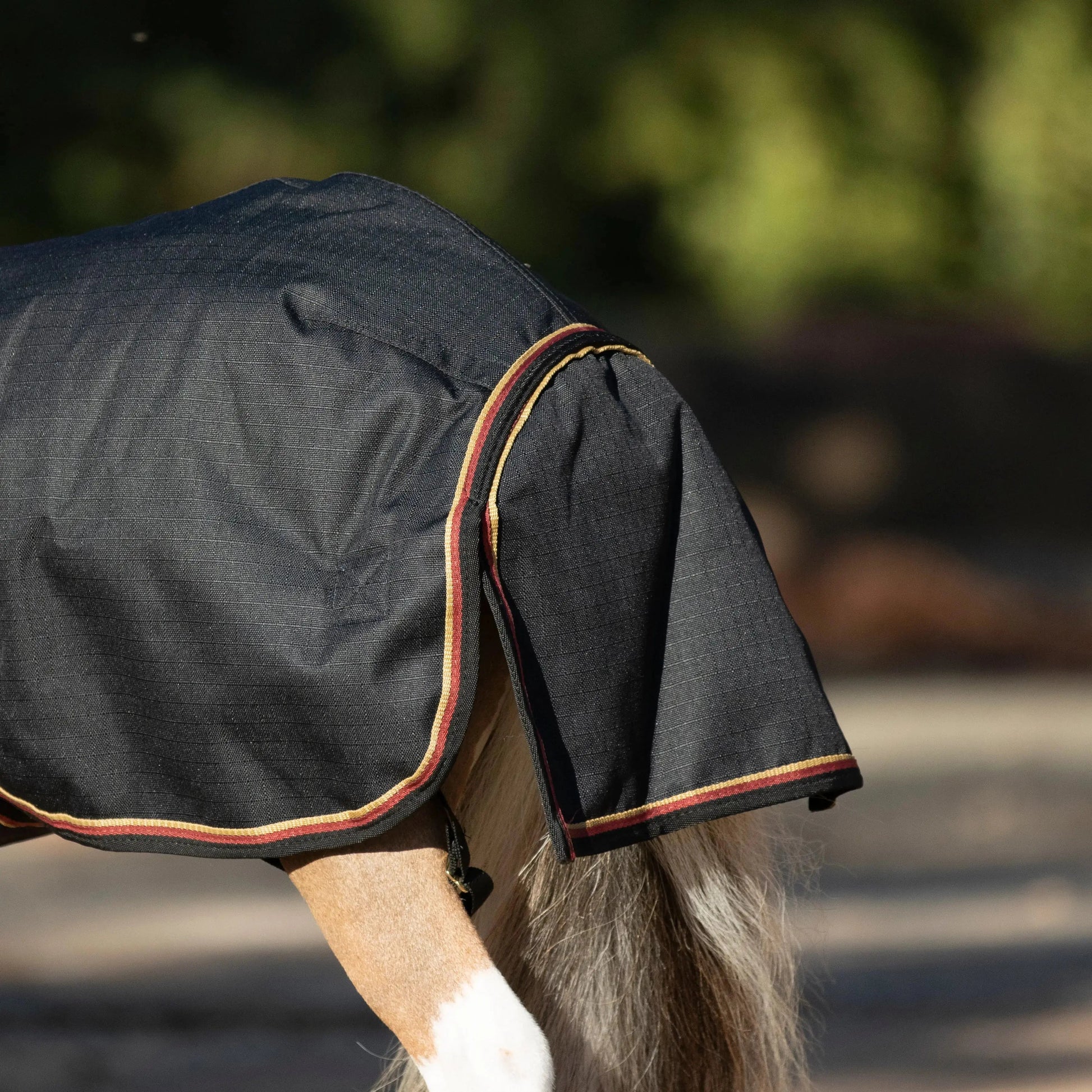 Mini 80G Light Weight Horse Winter Turnout Blanket - Waterproof & Breathable - Riders Choice Supply Co