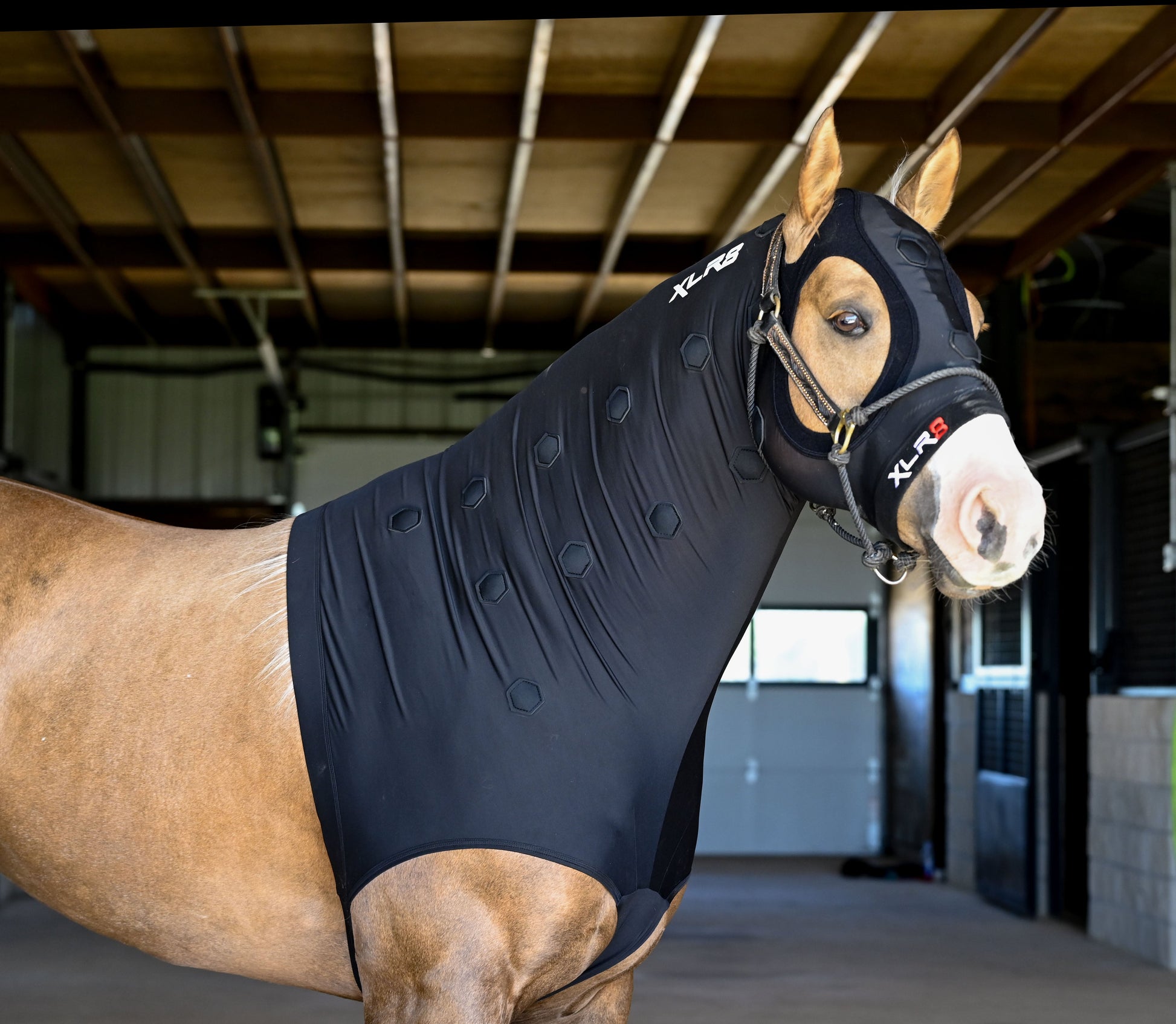 Velocity Hood - Riders Choice Supply Co