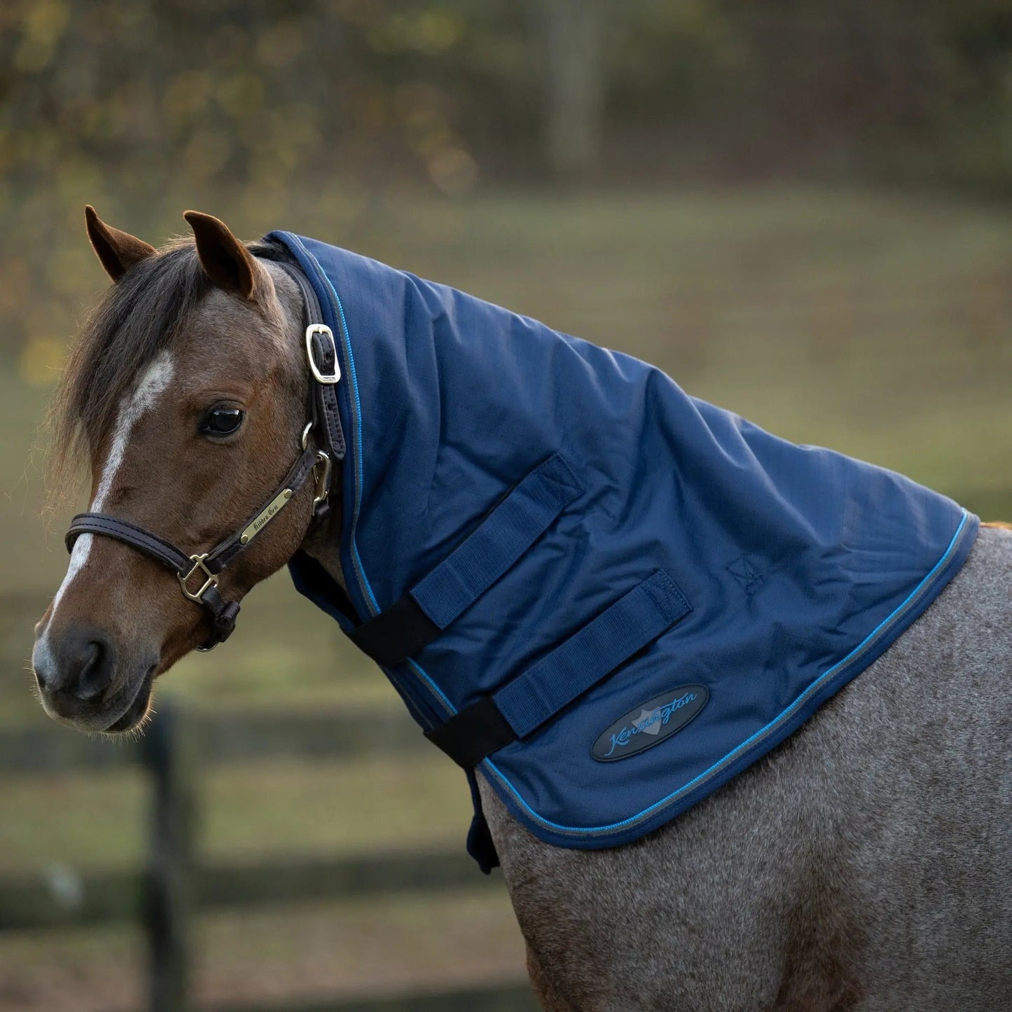 Pony 180G Medium Weight Winter Neck Warmer - Waterproof & Breathable - Riders Choice Supply Co